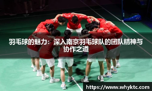 羽毛球的魅力：深入南京羽毛球队的团队精神与协作之道